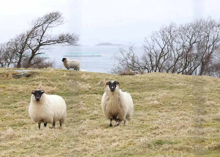 Fjordbris ホテル