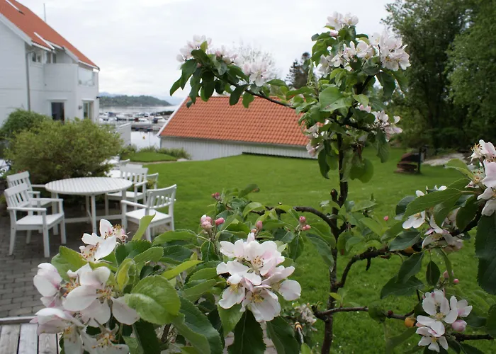 ホテル Fjordbris Østhusvik